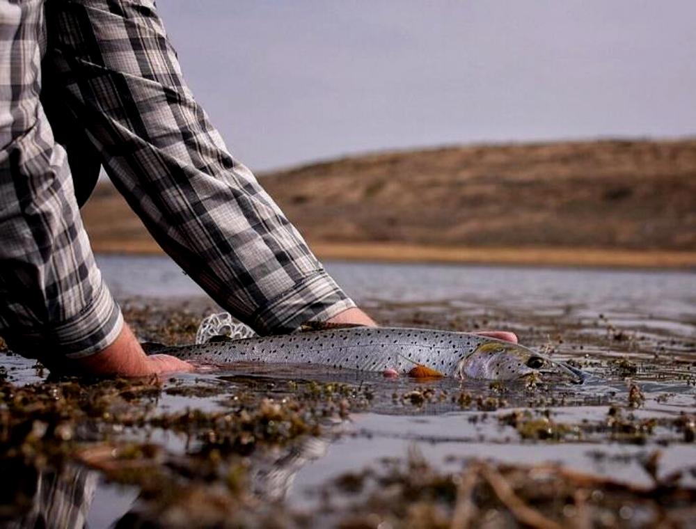 RIO Fly Lines for Trout Fishing