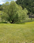 Missouri River Cabin