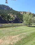 Missouri River Getaway