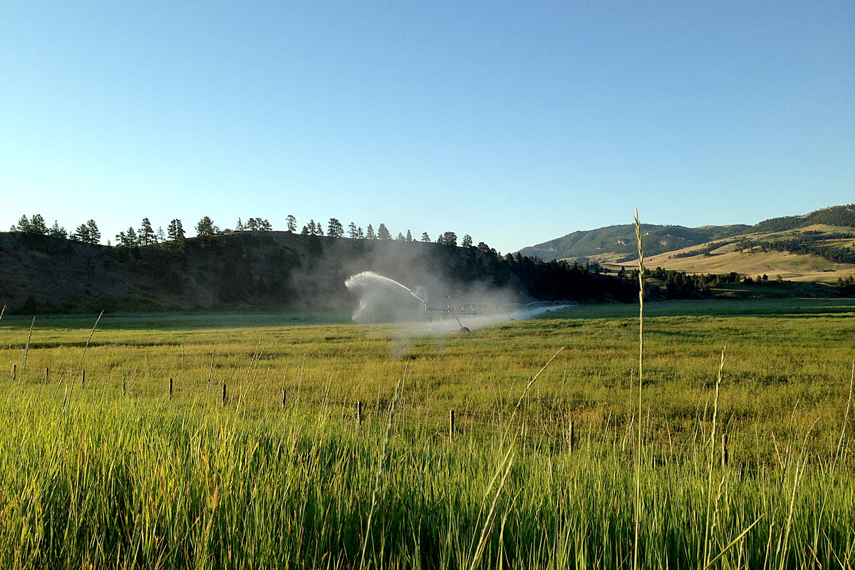 Sterling Ranch Lodge