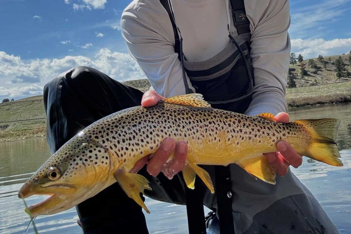 Missouri River Fishing Report