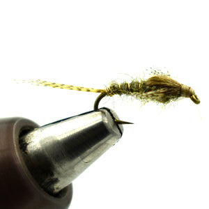 Harrop's Mayfly Nymph - Callibaetis