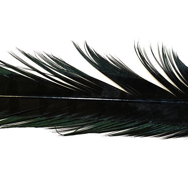 Hareline Dubbin Ringneck Pheasant Tail Feathers