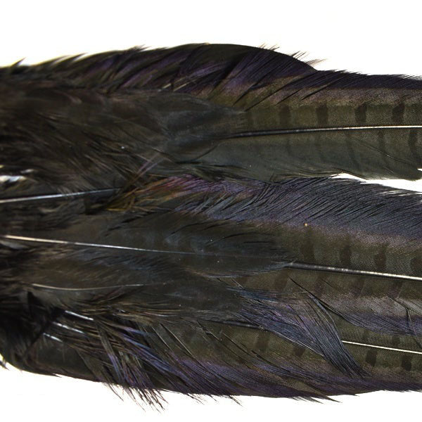 Hareline Dubbin Ringneck Pheasant Tail Clump