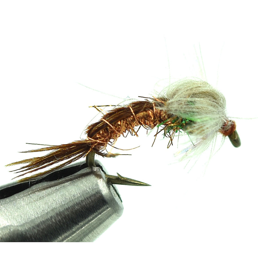 Bead Head Bubble Back Emerger - PMD