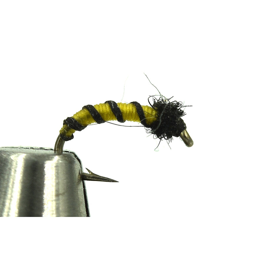 Sidewinder Midge Larva