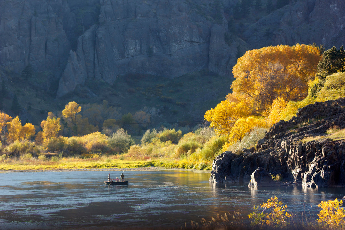 Guide Trip Below Holter Dam