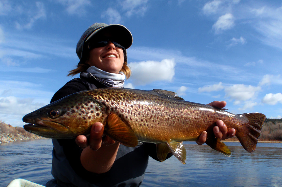 Guide Trip October 15 to March 31 Below Holter Dam