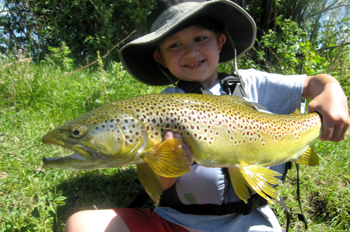 Guide Trip Below Holter Dam The Trout Shop