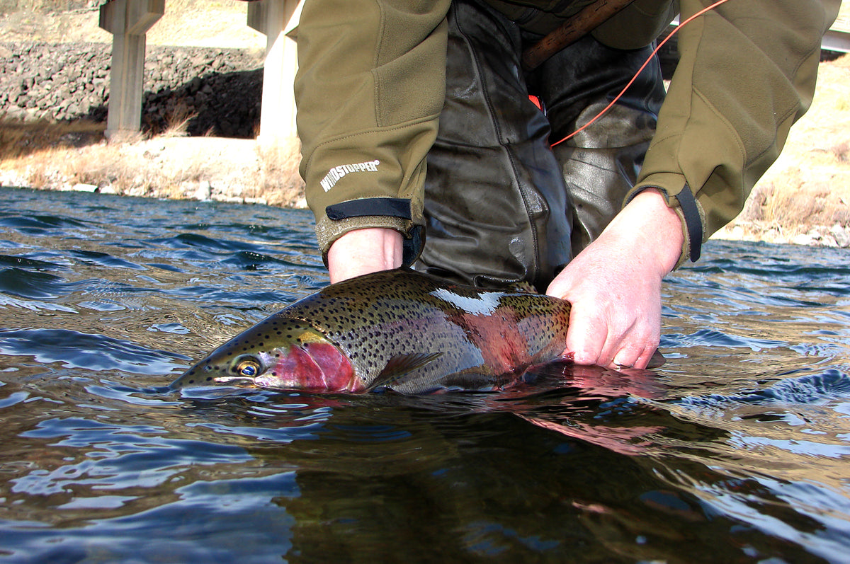 Guide Trip October 15 to March 31 Below Holter Dam