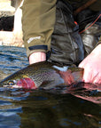 Guide Trip Below Holter Dam