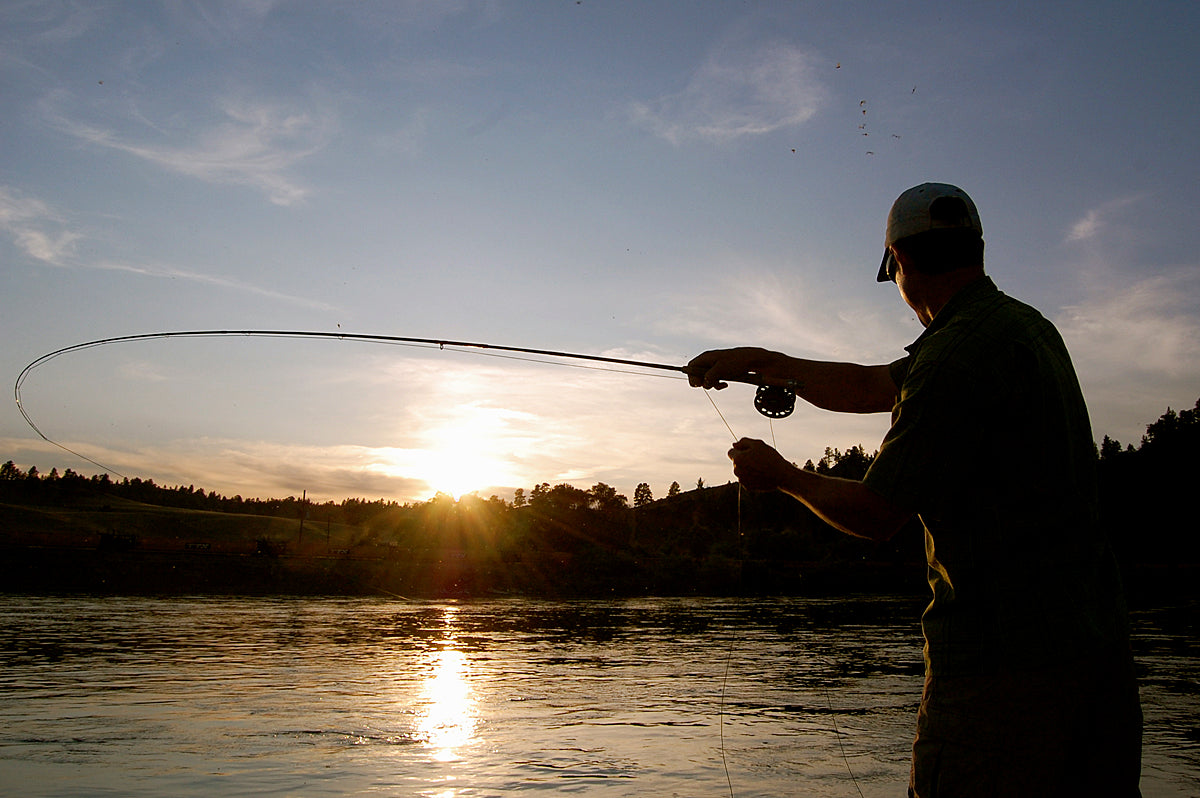 Guide Trip October 15 to March 31 Below Holter Dam