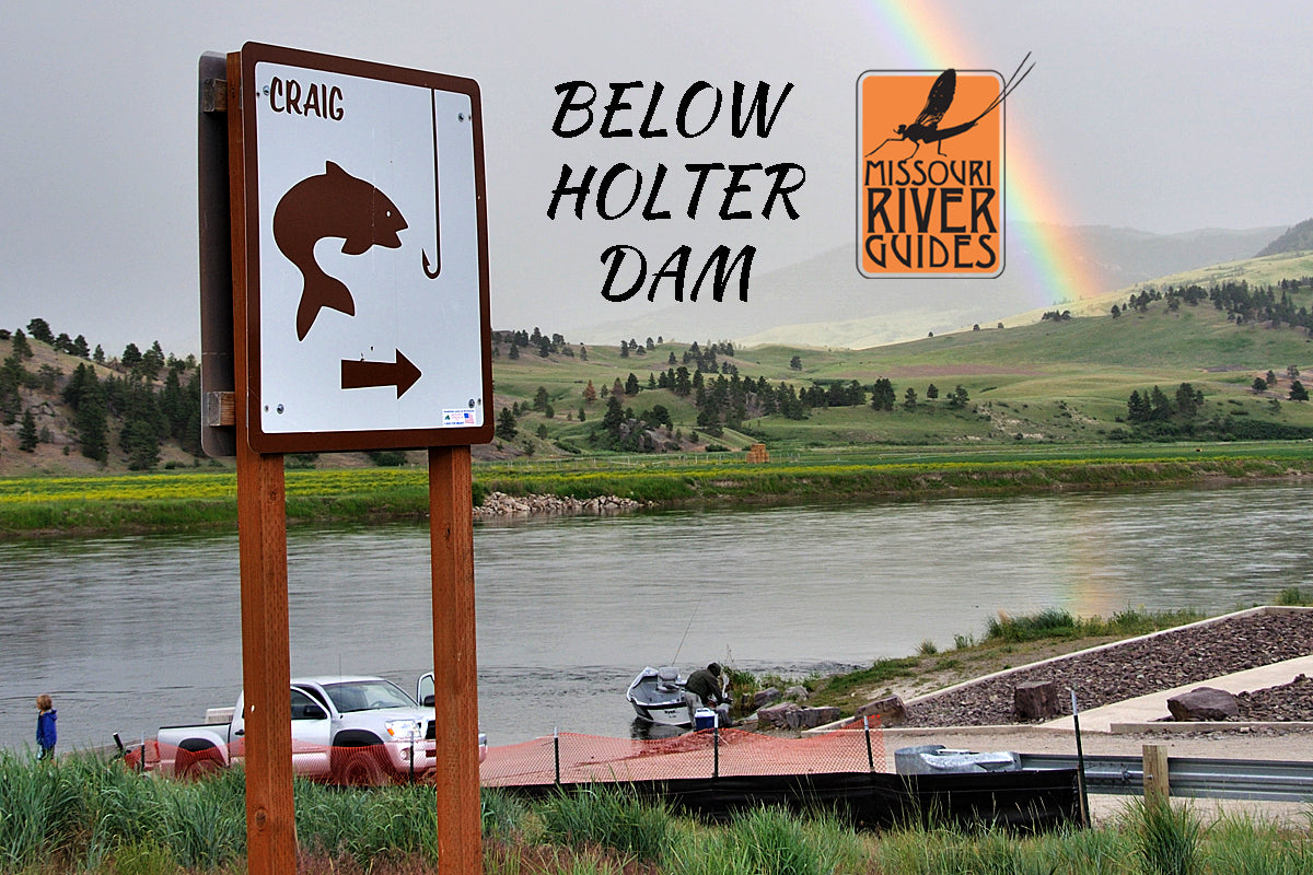 Guide Trip Below Holter Dam The Trout Shop